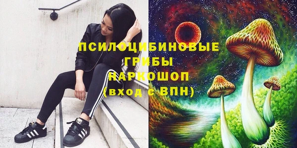 гидра Алексеевка