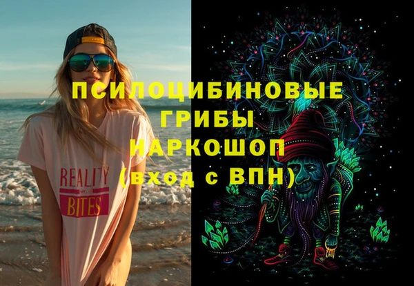 гидра Алексеевка