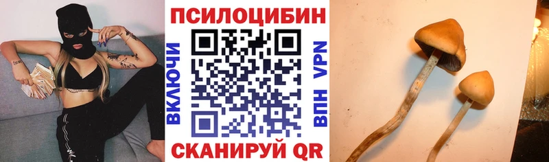 Галлюциногенные грибы GOLDEN TEACHER  цены наркотик  Перевоз 
